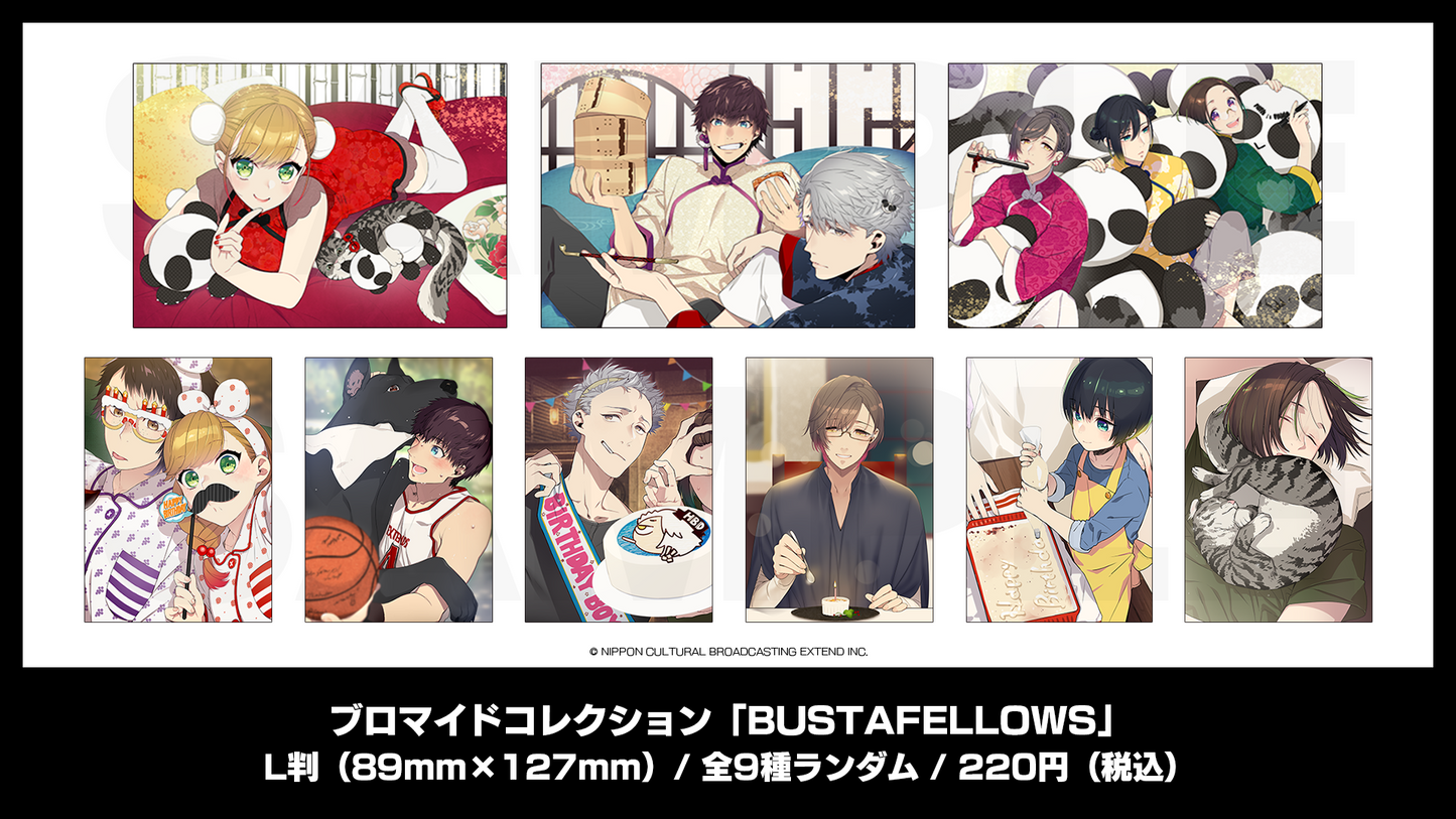 ブロマイドコレクション「BUSTAFELLOWS」